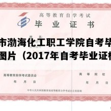 天津市渤海化工职工学院自考毕业证模板图片（2017年自考毕业证样本）