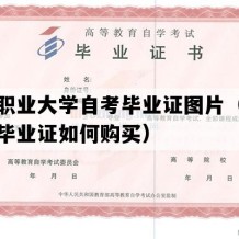 南通职业大学自考毕业证图片（江苏自考毕业证如何购买）