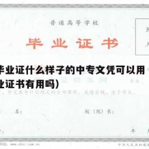 中专毕业证什么样子的中专文凭可以用（中专的毕业证书有用吗）