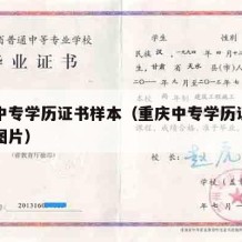 重庆中专学历证书样本（重庆中专学历证书样本及图片）