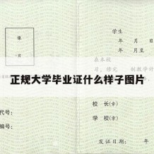 正规大学毕业证什么样子图片