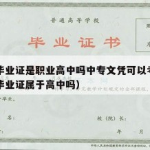 中专毕业证是职业高中吗中专文凭可以考吗（中专毕业证属于高中吗）