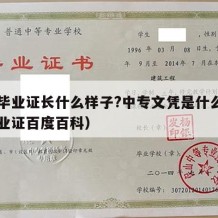 中专毕业证长什么样子?中专文凭是什么（中专毕业证百度百科）