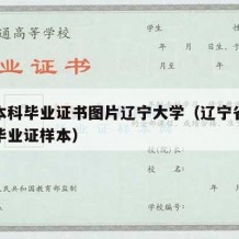 自考本科毕业证书图片辽宁大学（辽宁省自学考试毕业证样本）