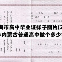 乌海市高中毕业证样子图片(2008年内蒙古普通高中做个多少钱）