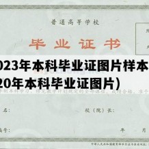 2023年本科毕业证图片样本(2020年本科毕业证图片)