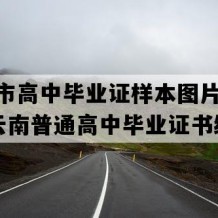 大理市高中毕业证样本图片(1999年云南普通高中毕业证书编号）