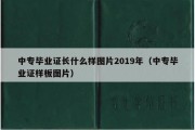 中专毕业证长什么样图片2019年（中专毕业证样板图片）