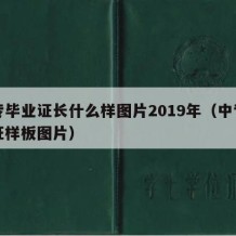 中专毕业证长什么样图片2019年（中专毕业证样板图片）