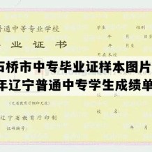 大石桥市中专毕业证样本图片(2009年辽宁普通中专学生成绩单）