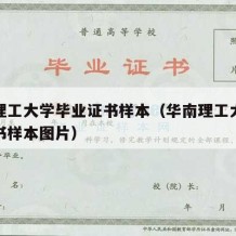 华南理工大学毕业证书样本（华南理工大学毕业证书样本图片）