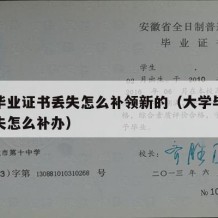 大学毕业证书丢失怎么补领新的（大学毕业证书遗失怎么补办）