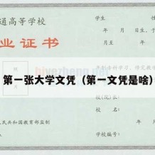 第一张大学文凭（第一文凭是啥）