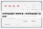 大学毕业证掉了如何补发（大学毕业证掉了怎么补）