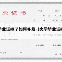 大学毕业证掉了如何补发（大学毕业证掉了怎么补）