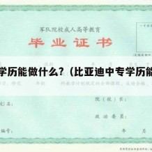 中专学历能做什么?（比亚迪中专学历能做什么）