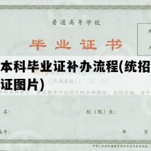 统招本科毕业证补办流程(统招本科毕业证图片)