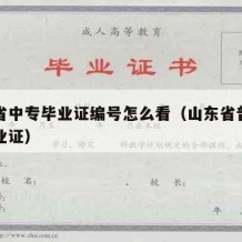 山东省中专毕业证编号怎么看（山东省普通中专毕业证）