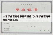 大学毕业证的电子版有哪些（大学毕业证电子版照片怎么弄）