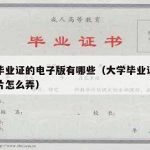 大学毕业证的电子版有哪些（大学毕业证电子版照片怎么弄）