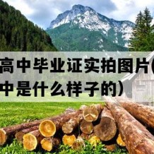 邳州市高中毕业证实拍图片(八十年代老高中是什么样子的）