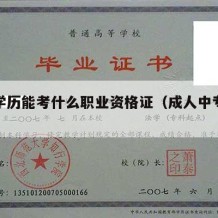 中专学历能考什么职业资格证（成人中专报考条件）