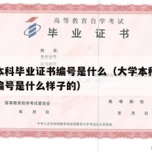 大学本科毕业证书编号是什么（大学本科毕业证书编号是什么样子的）