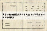 大学毕业证图片高清样本大全（大学毕业证什么样子图片）