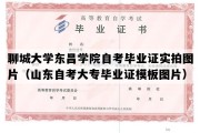 聊城大学东昌学院自考毕业证实拍图片（山东自考大专毕业证模板图片）