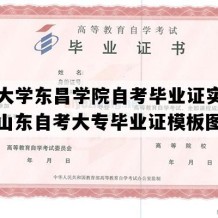 聊城大学东昌学院自考毕业证实拍图片（山东自考大专毕业证模板图片）