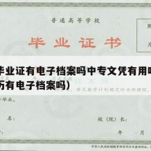 中专毕业证有电子档案吗中专文凭有用吗（中专学历有电子档案吗）