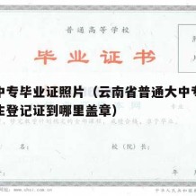 云南中专毕业证照片（云南省普通大中专学校毕业生登记证到哪里盖章）