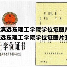 哈尔滨远东理工学院学位证图片(哈尔滨远东理工学院学位证图片查询)