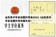 山东高中毕业证图片样本2023（山东高中毕业证图片样本图大全）