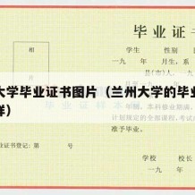 兰州大学毕业证书图片（兰州大学的毕业证长什么样）