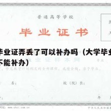 大学毕业证弄丢了可以补办吗（大学毕业证丢了能不能补办）