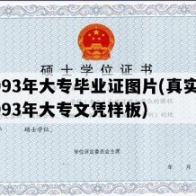 1993年大专毕业证图片(真实的1993年大专文凭样板)