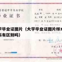 各大学毕业证图片（大学毕业证图片样本本科和专科有区别吗）