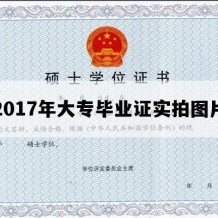 2017年大专毕业证实拍图片