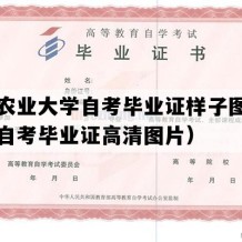 四川农业大学自考毕业证样子图片（四川自考毕业证高清图片）