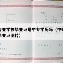 中等专业学校毕业证是中专学历吗（中等专业学校毕业证图片）