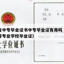 山东省中专毕业证书中专毕业证有用吗（山东省中等专业学校毕业证）