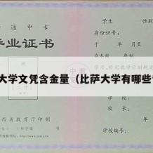 比萨大学文凭含金量（比萨大学有哪些专业）