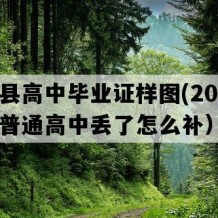 乐东县高中毕业证样图(2023年海南普通高中丢了怎么补）