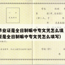 中专毕业证是全日制嘛中专文凭怎么填（中专毕业证是全日制嘛中专文凭怎么填写）