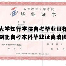 湖北大学知行学院自考毕业证样子图片（湖北自考本科毕业证高清图片）