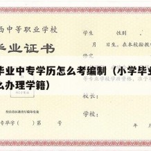 小学毕业中专学历怎么考编制（小学毕业读中专什么办理学籍）