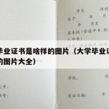 大学毕业证书是啥样的图片（大学毕业证书是啥样的图片大全）