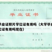 大学毕业证照片学位证有用吗（大学毕业证照片学位证有用吗现在）