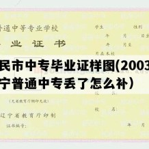 新民市中专毕业证样图(2003年辽宁普通中专丢了怎么补）